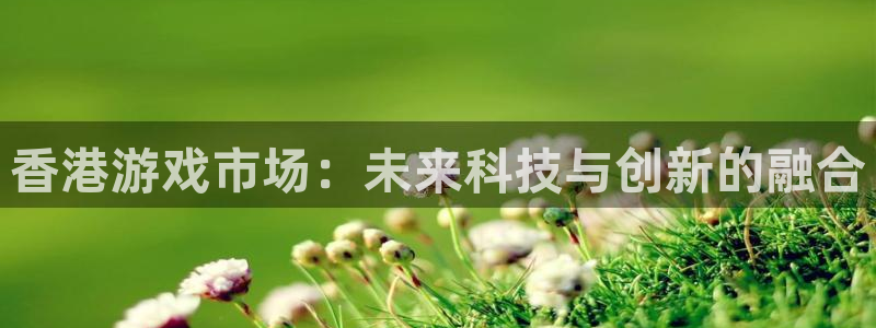 恩佐娱乐登陆：香港游戏市场：未来科技与创新的融合