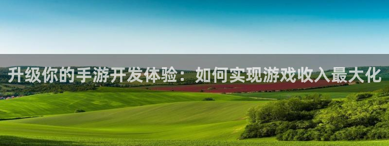 恩佐娱乐1：升级你的手游开发体验：如何实现游戏收入最大化