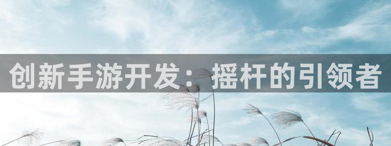 恩佐娱乐手机版最新功能介绍大全：创新手游开发：摇杆的引领者