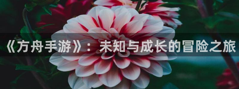 恩佐娱乐官方注册：《方舟手游》：未知与成长的冒险之旅