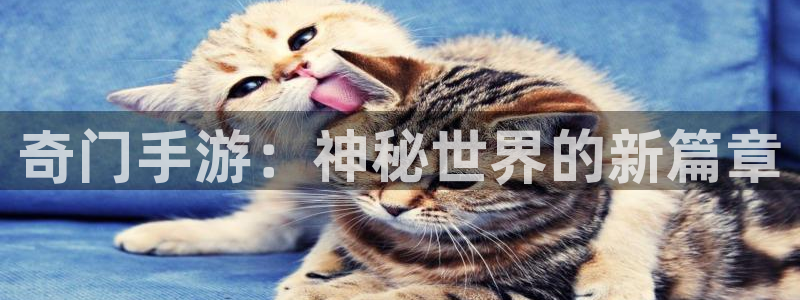 恩佐娱乐注册：奇门手游：神秘世界的新篇章