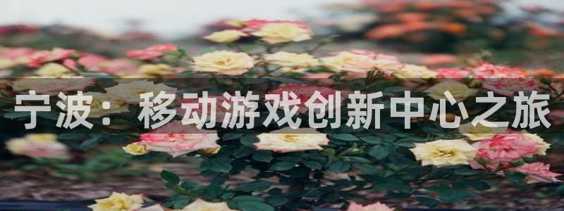 恩佐娱乐官方注册：宁波：移动游戏创新中心之旅
