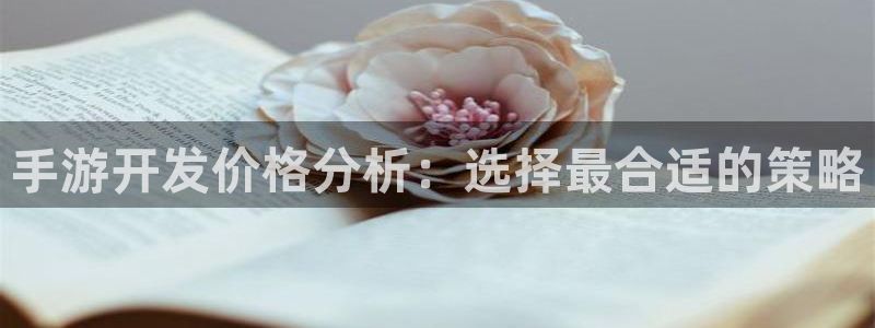 恩佐娱乐注册：手游开发价格分析：选择最合适的策略