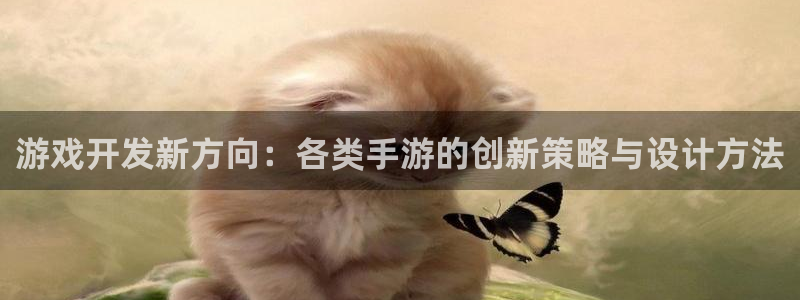 恩佐娱乐1：游戏开发新方向：各类手游的创新策略与设计方法
