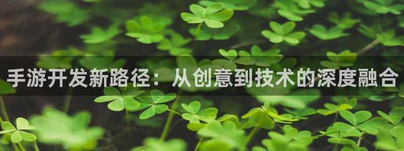 恩佐娱乐手机版最新功能介绍视频：手游开发新路径：从创意到技术