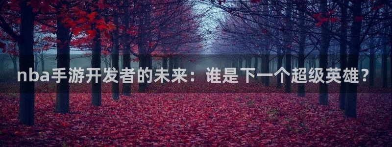 恩佐娱乐平台正规吗可靠吗：nba手游开发者的未来：谁是下一个