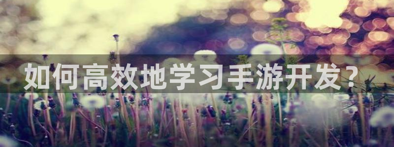 恩佐娱乐平台正规吗安全吗：如何高效地学习手游开发？