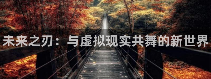 恩佐娱乐手机登录：未来之刃：与虚拟现实共舞的新世界