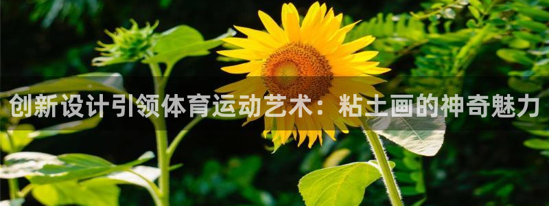 中欧体育在线：创新设计引领体育运动艺术：粘土画的神奇魅力
