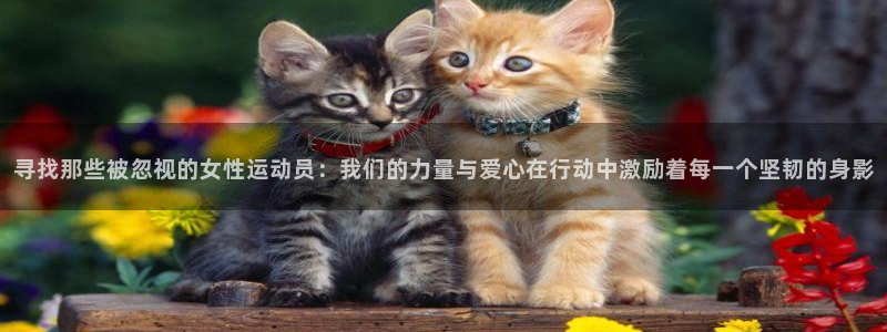 中欧体育全站app：寻找那些被忽视的女性运动员：我们的力量与爱心在行动中激励着每一个坚韧的身影