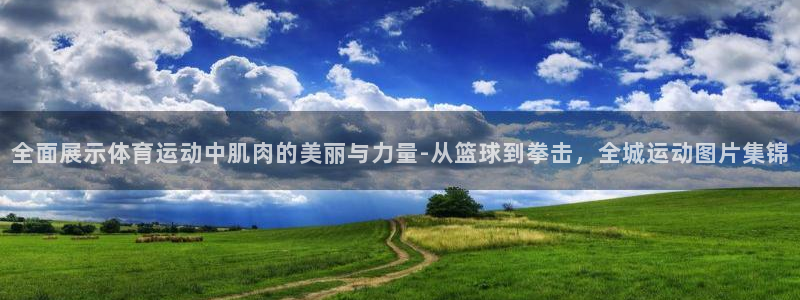 中欧体育下载：全面展示体育运动中肌肉的美丽与力量-从篮球到拳击，全城运动图片集锦