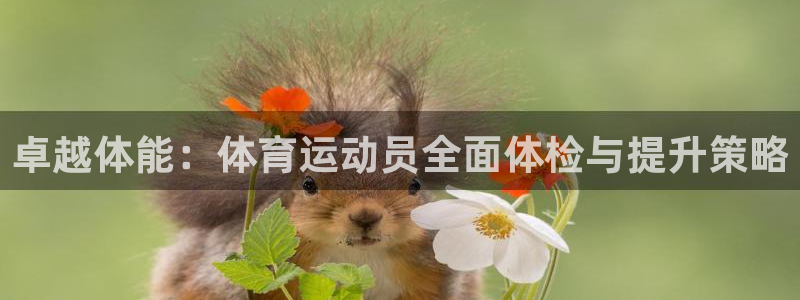 中欧体育官网：卓越体能：体育运动员全面体检与提升策略