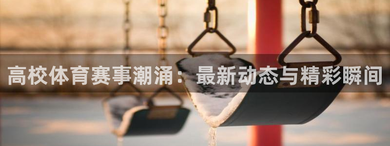 中欧体育app：高校体育赛事潮涌：最新动态与精彩瞬间